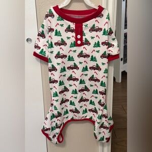 Festive Holiday Dog Onesie